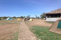 serengeti seronera campsite