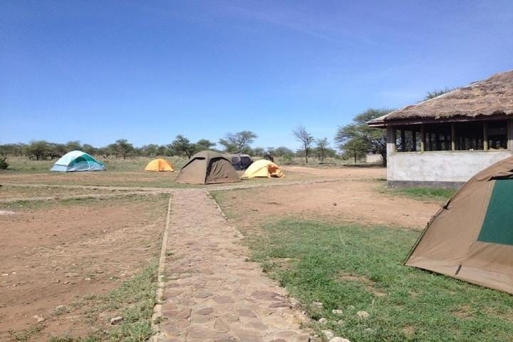 serengeti seronera campsite