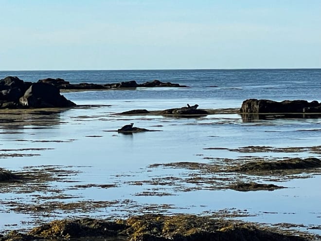 Private Snæfellsnes Peninsula