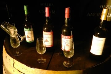 Private Full Day Tour of Cádiz and Jerez from Seville