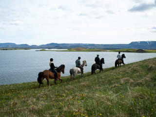 1 hour Riding tour Lake Myvatn area, photo 8