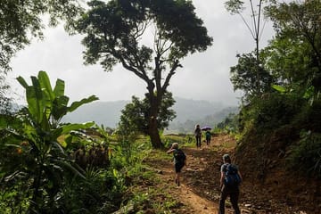 Three-Day Trekking Adventure in Mai Chau and Pu Luong