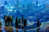 Discover two incredible worlds in one destination: Aquaventure and Lost Chambers Aquarium in Dubai."