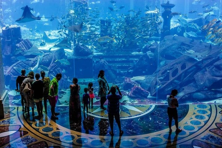 Discover two incredible worlds in one destination: Aquaventure and Lost Chambers Aquarium in Dubai."
