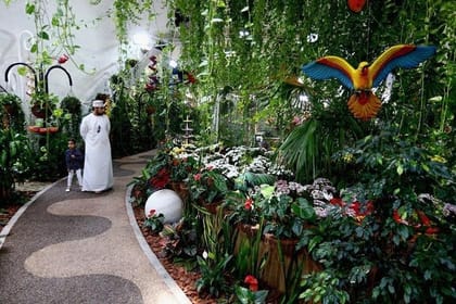 Dubai Butterfly Garden Tour with private round trip transfers