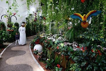 Dubai Butterfly Garden Tour with Private Transfers