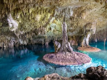 Tulum and Sak Aktun Cave Cenote Tour