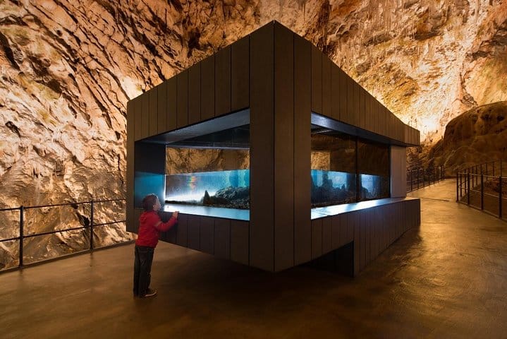 Private Tour from Zagreb: Ljubljana, Postojna & Predjama Castle 7