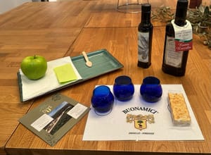 Fiesole: Olio Evo Bronze Experience at Frantoio Buonamici