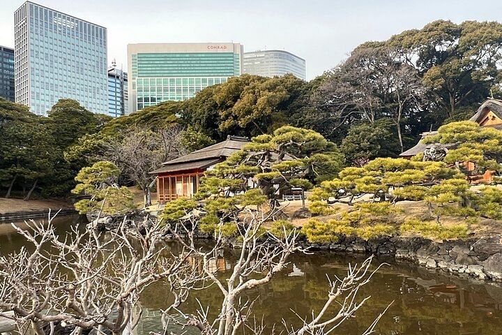 Hama Rikyu Gardens and Surroundings Guided Waking Tour