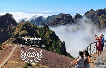 Full-Day 4X4 Tour of Madeira's Peaks from Funchal
