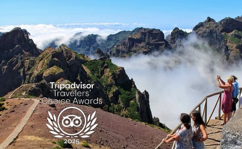 Full-Day 4X4 Tour of Madeira's Peaks from Funchal