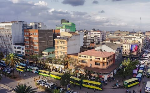 Nairobi City Tour with National Museum and Cultural Highlights