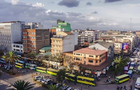 Nairobi City Tour with National Museum and Cultural Highlights