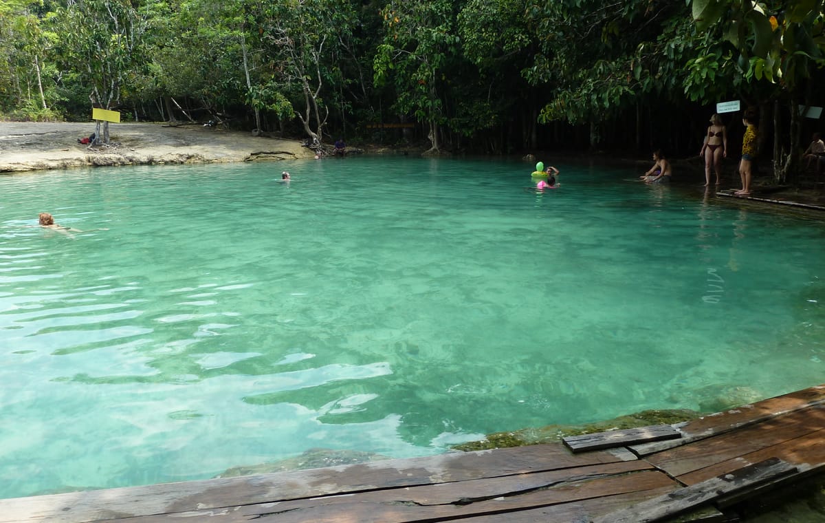The Wonders of Thailand’s Last Lowland Rainforest