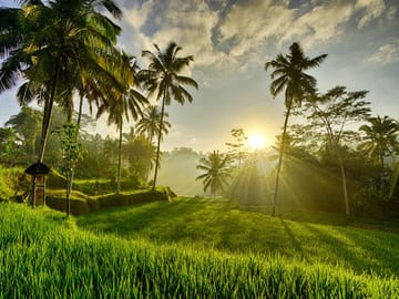 Best of Ubud with Tanah Lot Temple Private Tour