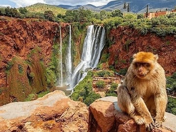 From Marrakech: Ouzoud Waterfalls Guided Hike and Boat Trip