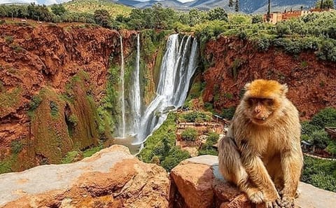 Guided Hike and Boat Trip to Ouzoud Waterfalls from Marrakech