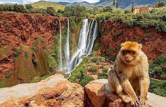 From Marrakech: Ouzoud Waterfalls Guided Hike and Boat Trip