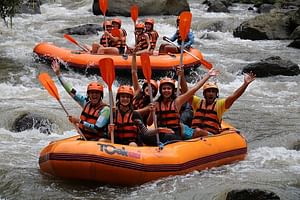 Bali White Water Rafting with Lunch and Private Transfer