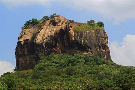 Sigiriya and Dambulla Cultural and Wildlife Tour with Jeep Safari