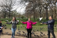Private Half Day London Tour With Car/Black Cab/MPV/Van/Coach 7