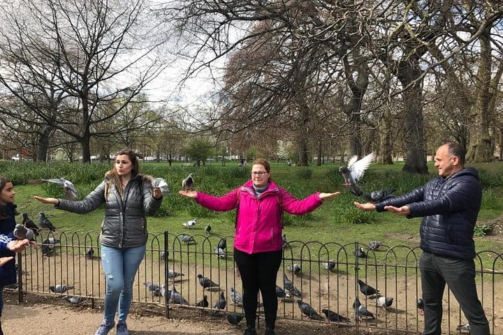 Private Half Day London Tour With Car/Black Cab/MPV/Van/Coach 7