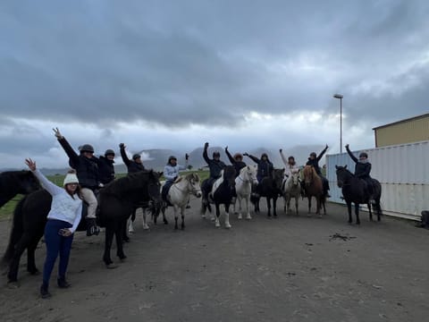 Horse Riding Tour and Explore Scenery in Gásir Akureyri