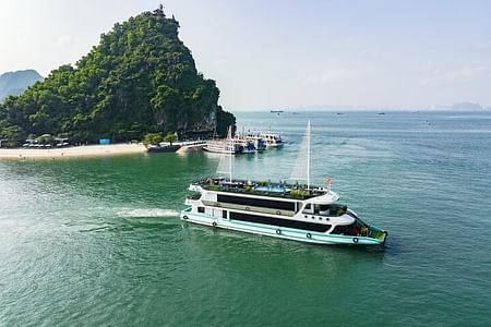 Luxury Amethyst Cruise in Halong Bay: Unforgettable Day Trip from Hanoi