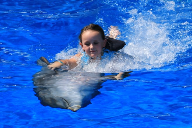 Dolphin Swim Adventure at Marineland photo 6