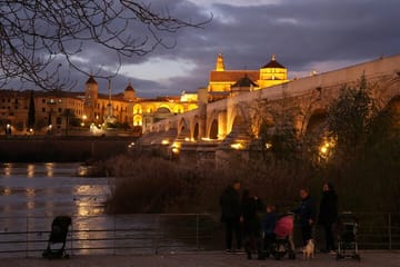 Córdoba Day Trip from Seville with Guided Tours and Photography