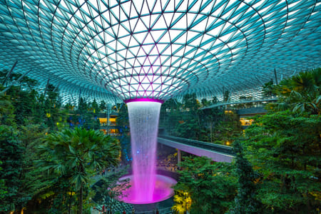 Jewel Changi Airport: Canopy Park Admission Ticket