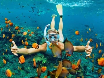 Snorkeling and Diving in Cham Islands from Da Nang or Hoi An