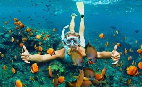 Snorkeling and Diving in Cham Islands from Da Nang or Hoi An