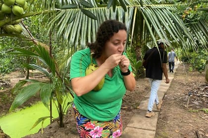 Private Mekong Orchard Visit Non Tourist