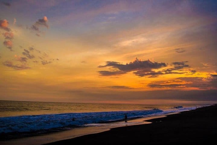 Day Tour Between Mangroves, Fishing & Black Sand Beach Activities + Lunch 9