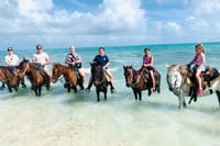 Caicos Islands Beach Horseback Riding Small-Group Tour 5