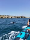 Benagil & Marinha Caves Tour Private 3