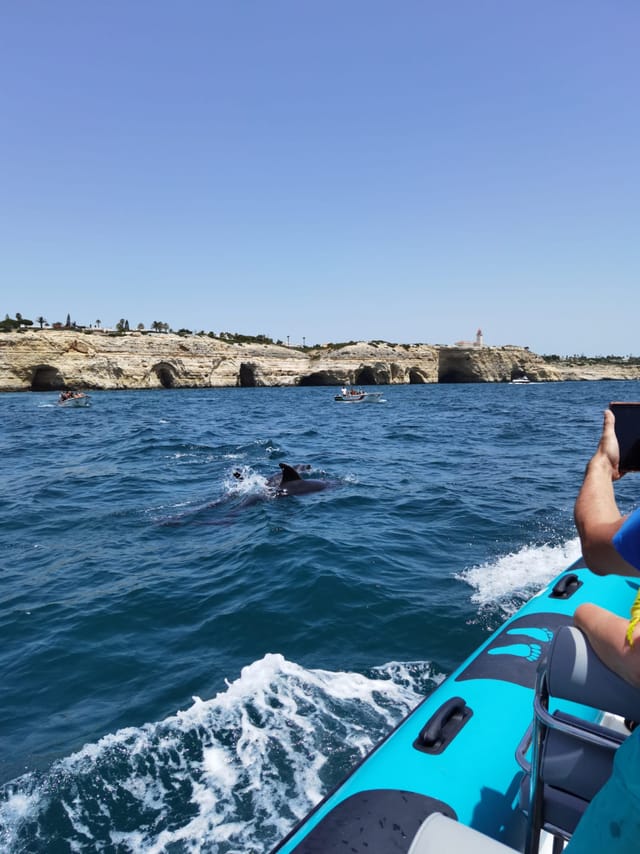 Benagil & Marinha Caves Tour Private 3