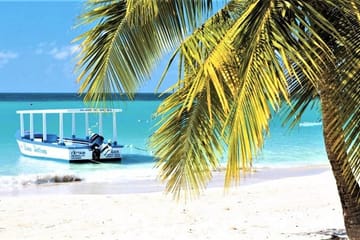 Day Trip to Doctor's Cave Beach and Margaritaville from Lucea