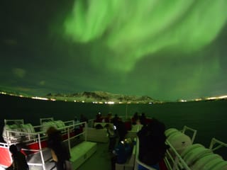 Reykjavík Northern Lights & City Cruise, photo 14