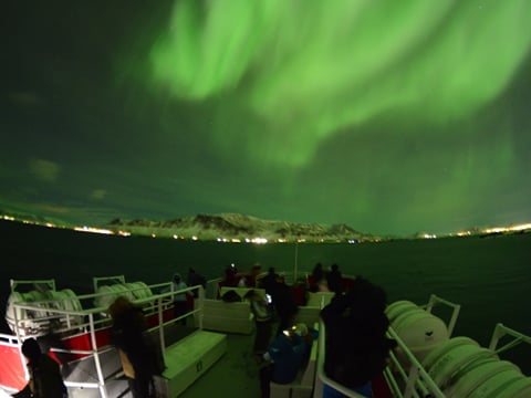 Reykjavík Northern Lights & City Cruise, photo 14