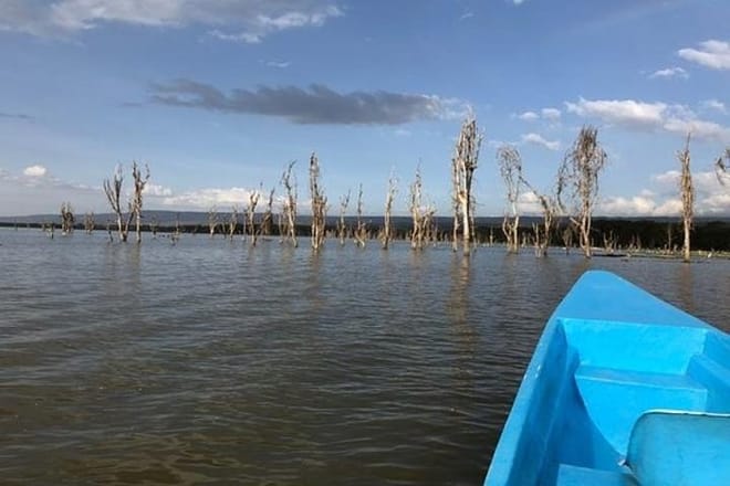 Lake Naivasha