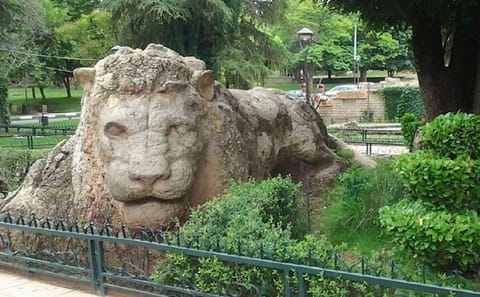 Private Day Trip from Fes to the Middle Atlas Mountains
