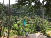 Best of Bali: Private Customized Full-Day Tour 7