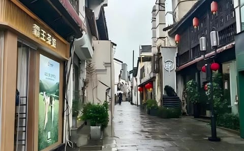 Heaven on Earth: One-Day Hangzhou Trip from Shanghai via High-Speed Rail (English & Spanish Guided)