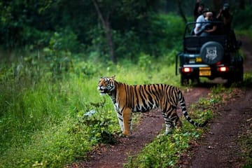 Cultural and Wildlife Tour of Agra and Gwalior, India
