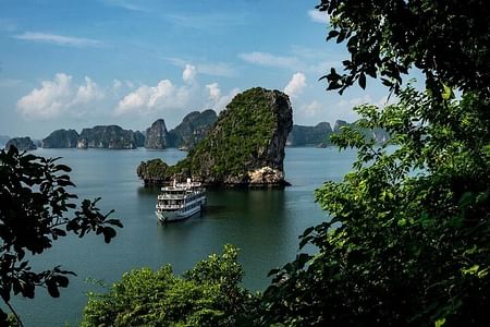 Swan Cruises: Explore Bai Tu Long Bay on a Scenic Cruise