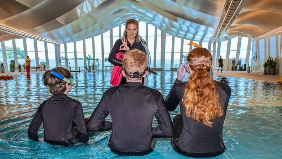 A female instructor in a wetsuit stands at the edge of an indoor pool, making an okay sign to three students sitting in the water at Deep Dive Dubai.