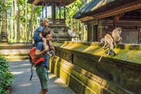 Best of Ubud: Waterfall - Jungle Swing - Rice Terrace 9